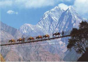 Agence trek Nepal
